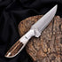 Sleek Damascus camping knife with antler handle and polished silver blade
