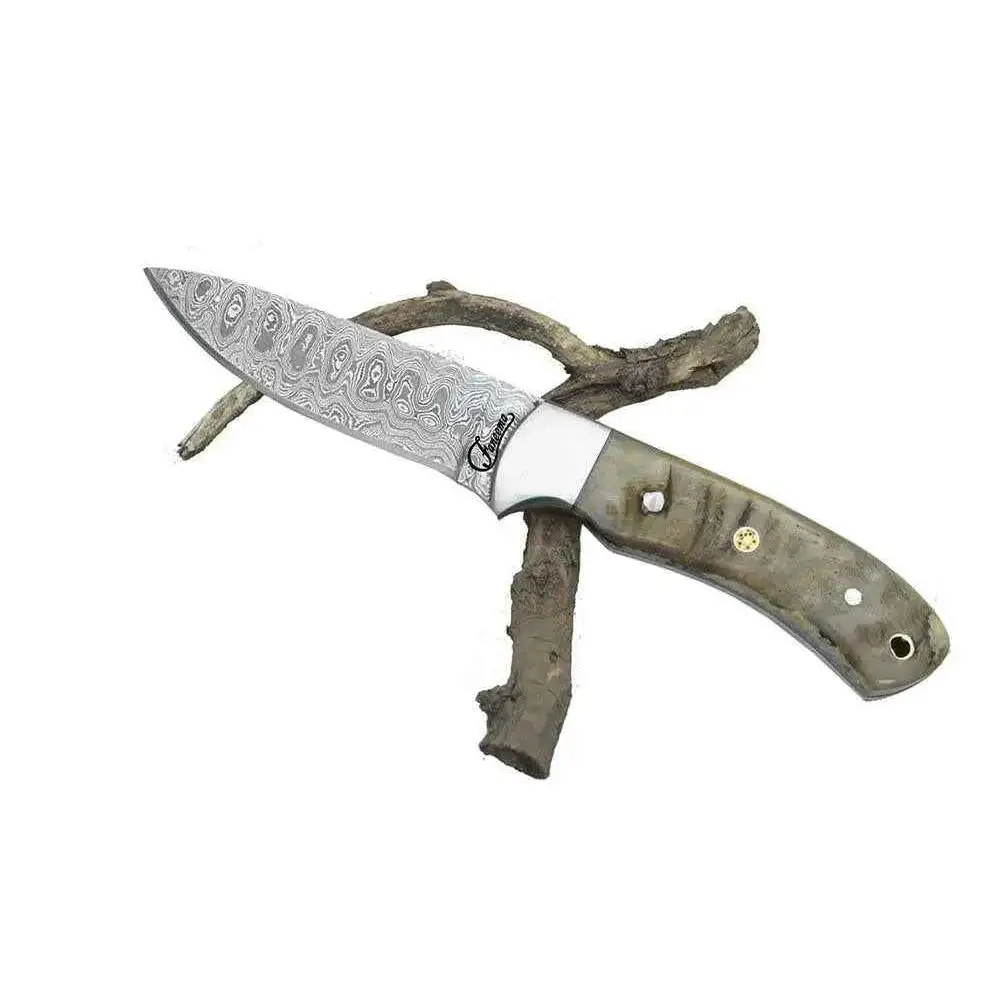 Sleek damascus steel knife with olive green handle and gold rivets