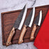 Damascus wood handle 3-pcs knife set with hammered blades